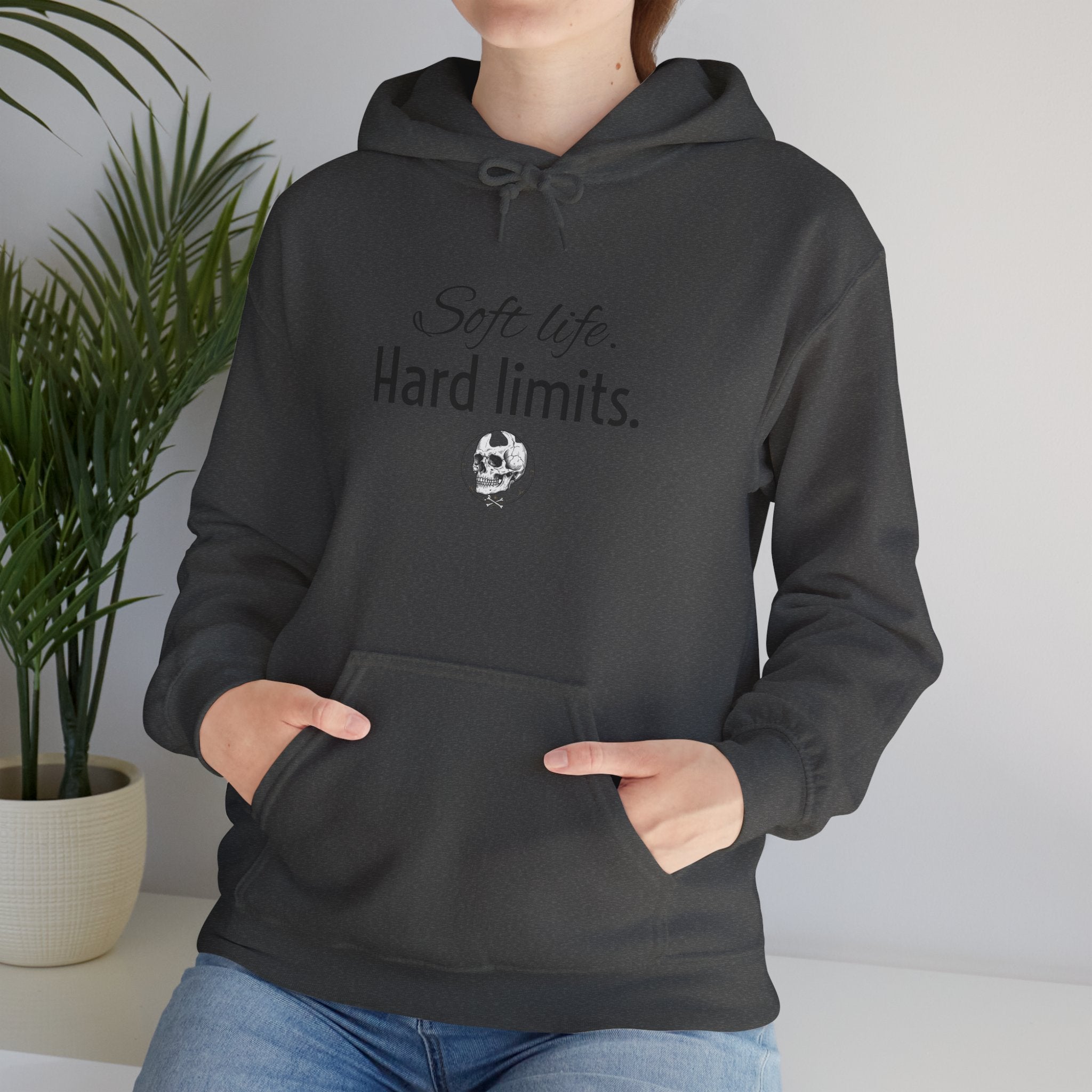 Hoodie — "Soft Life. Hard Limits." Minimalist Script Pullover